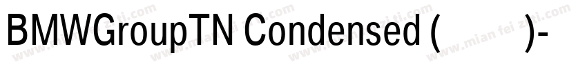 BMWGroupTN Condensed (正文)字体转换